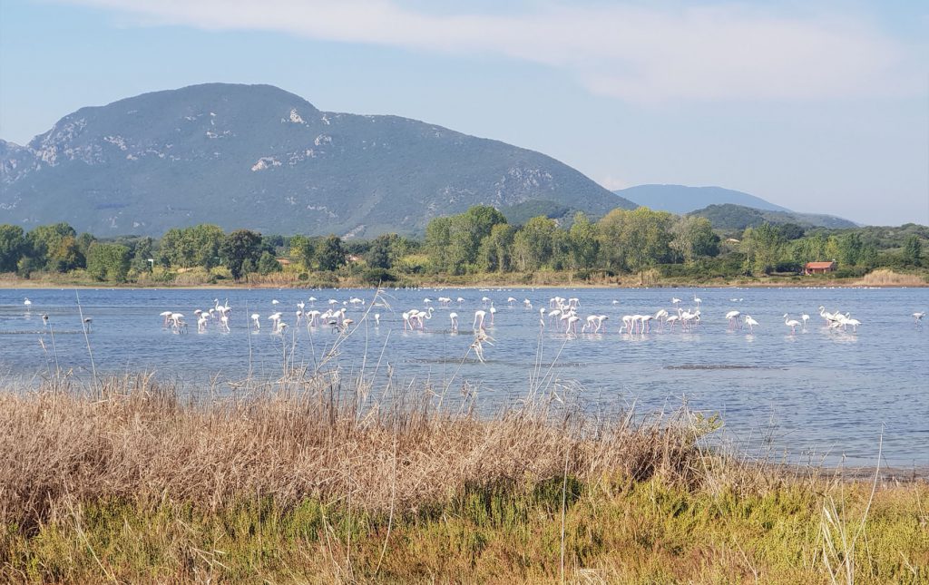 Villa Sun Mare - Fav